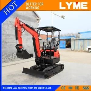 Lyme Hot Sale 1 Ton Mini Excavator Industrial with Skillful Manufacture