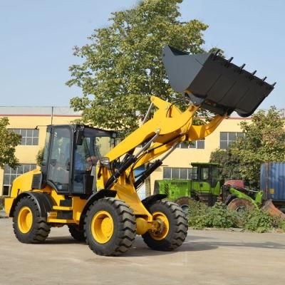 Diesel Multione Wheel Mini Loader New Model