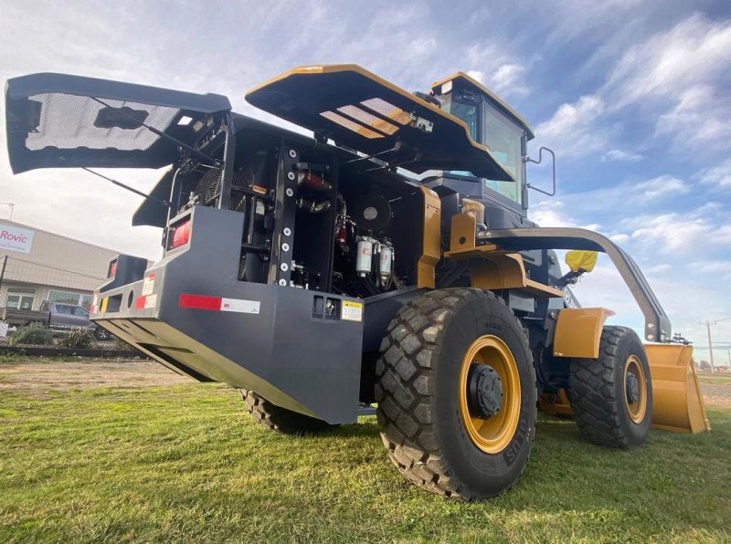 China Xuzhou Factory 3ton Small Wheel Loader Xc938 New Front End Loaders