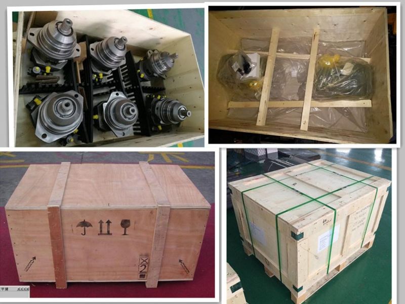 A6vm107 Hydraulic Piston Motor for Truck Crane Drum Roller Hydr Gear Pump