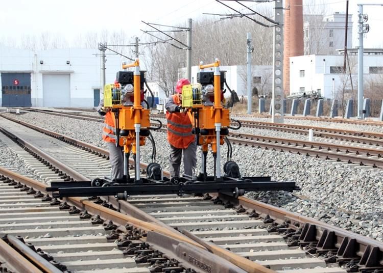 with Advanced Power System Tie Tamper Hot Promotion Smart Rail Ballast Tamping Unit