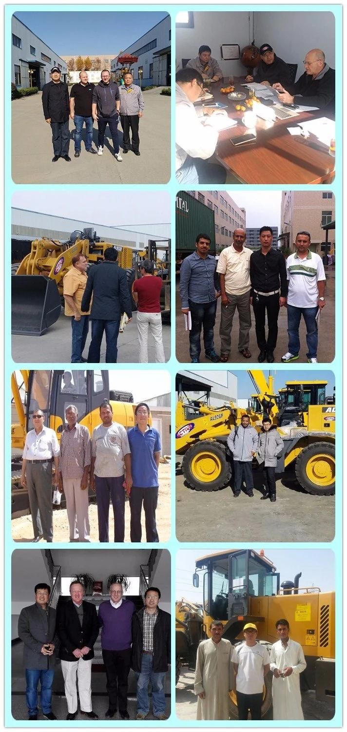0.8ton Small Garden Mini Excavator for Sale