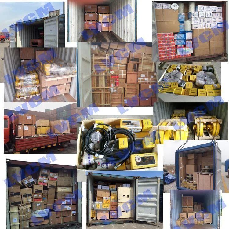 Changlin Wheel Loader Spare Parts Z30.6-10A Inner Gear for Sale