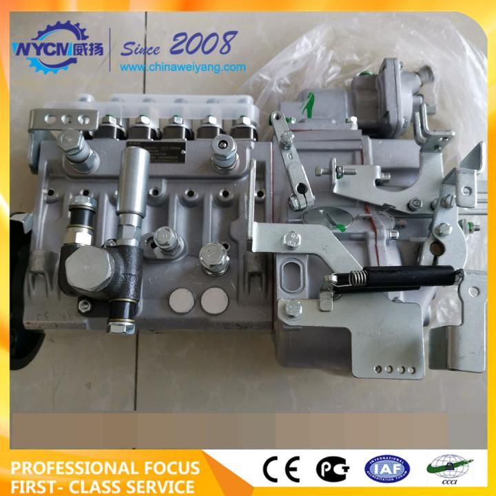 Nanyue Fuel Injection Pump B6pn157A BHT6pn110r