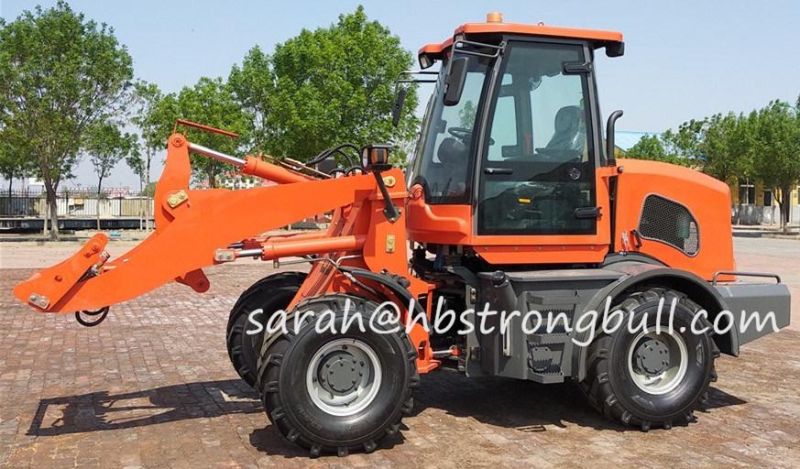 Skid Steering Loader Wheel Loader for Sale