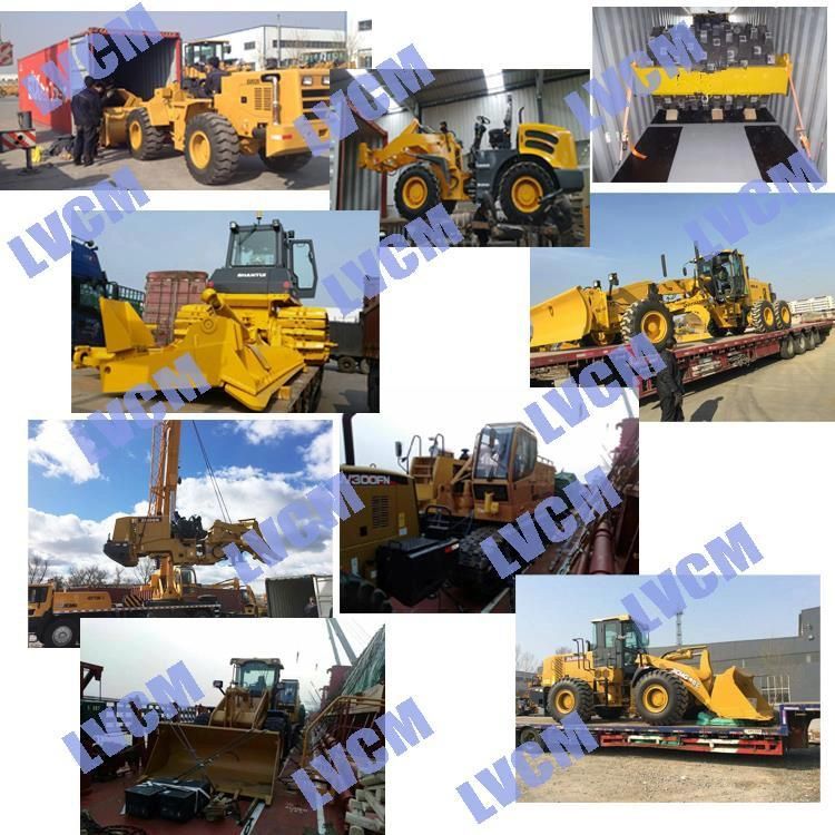Changlin Wheel Loader Spare Parts Z30.6-10A Inner Gear for Sale