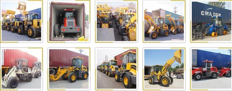 2000kgs Zl920 Zl20 Front End Mini Wheel Loader