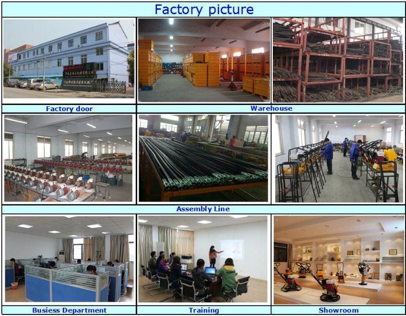 China Factory Wacker Type Vibrating Plate Compactor Price
