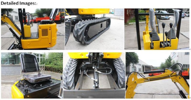 Hot Sell Top China Excavator Supplier Mini Bagger with Ligong Euro 5 Engine