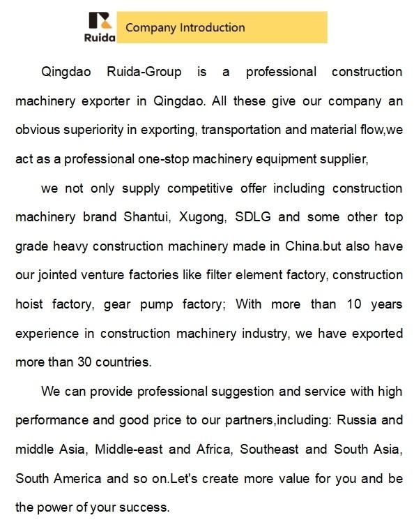 Top Brand Shantui 870kg/1635kg Remote Control Double Drum Vibratory Road Roller Mini Road Construction Machinery Srd900W/Srd016W Multi-Purpose Compactor