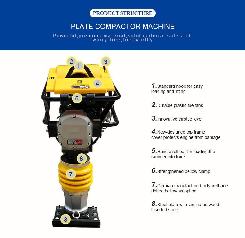 Factory Price Tamping Rammer with Iron Plate