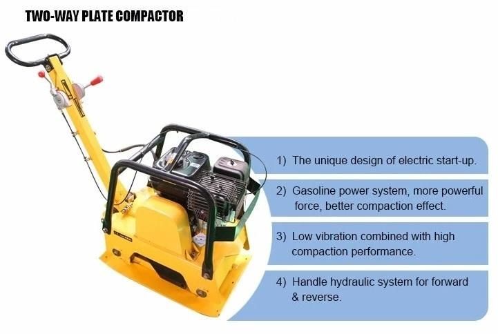 Reversible Plate Compactor with Diesel Engine186fa for Land Leveling