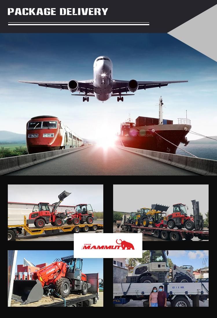 CE Approved 3.6 Ton Engineering Market Project Loader