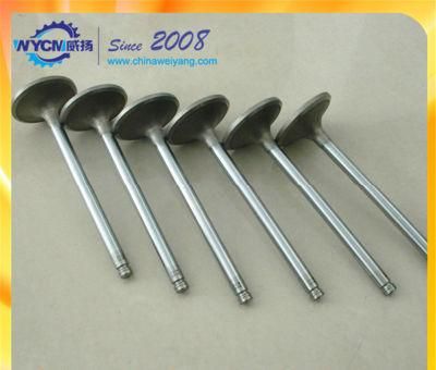 Engine Parts Inlet Valve 4110000081118 3924492 for Sale