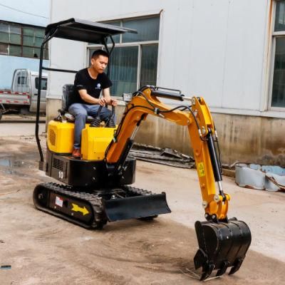 China Best Mini 1ton Excavator/Digger Hydraulic Engine for Agricultural and Farm Garden Using