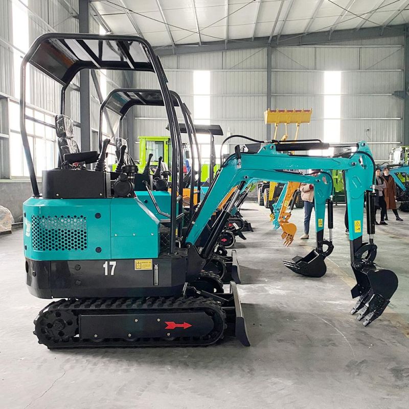 Small Mini Agricultural Crawler Machine with Hydraulic System Excavator