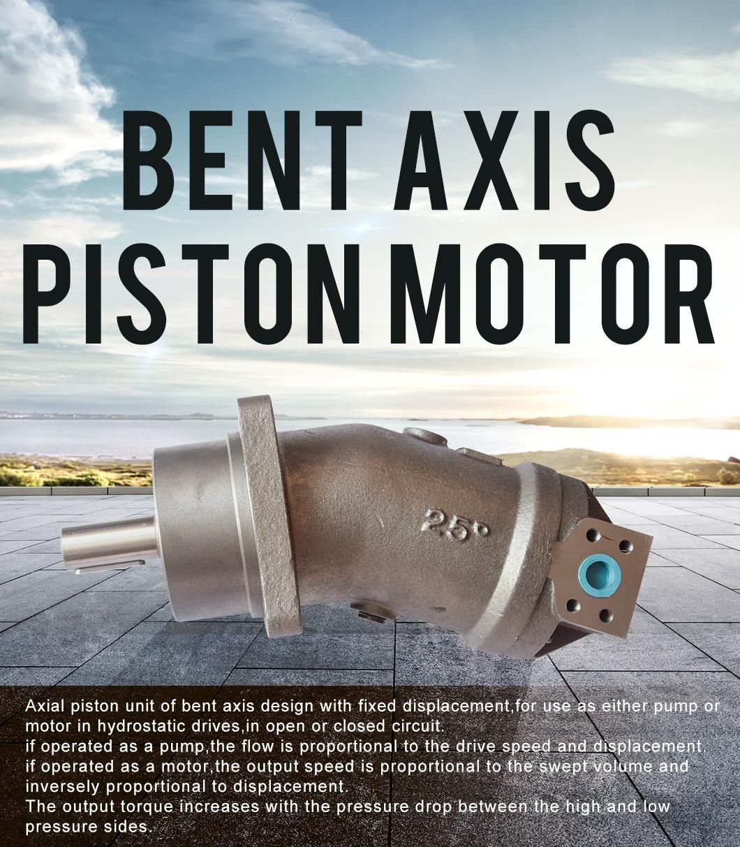Rexroth A2f Hydraulic Pump and Motor for Concrete Car