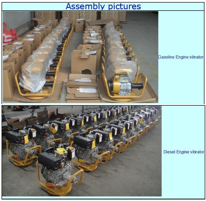 Gasoline Engine (ZXL) Single Cylinder Concrete Vibrator for Sale