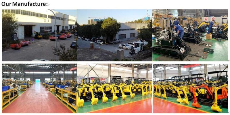 Hot Sell Top China Excavator Supplier Mini Bagger with Ligong Euro 5 Engine