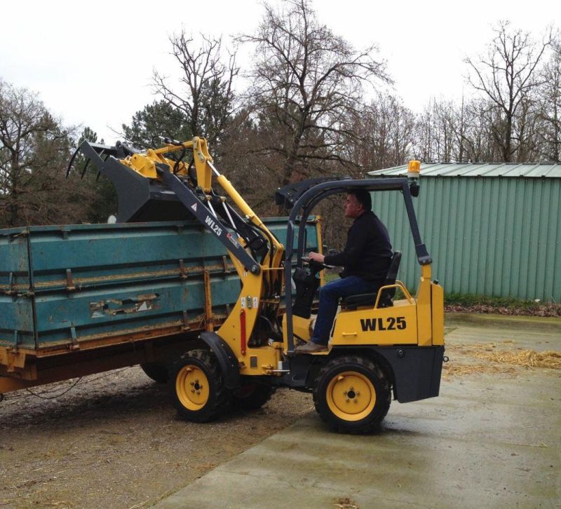 Compact Articulated Mini Wheel Loader for Sale with Euro Quick Coupler Quick Hitch