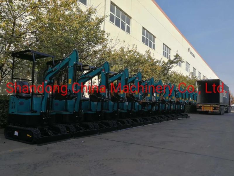 1000kg Hydraulic Mini Excavator with Swing Arm for Sales