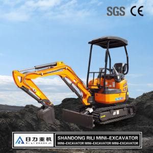 1.9 Ton Mini Excavator Crawler Type Hydraulic Crawler Agriculture Construction for Garden or Farm