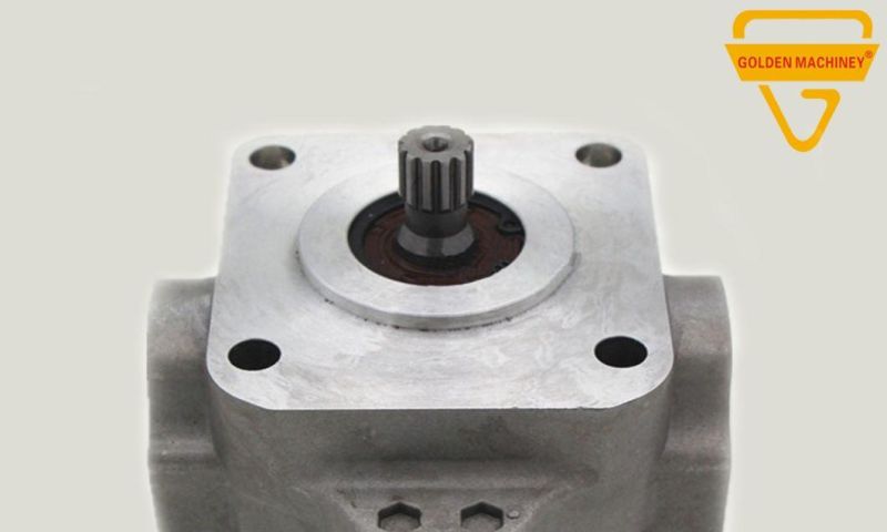 Gk Excavator Parts Hydraulic Pump Parts Gear Pump