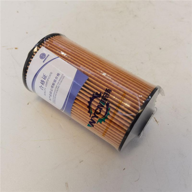 Weichai Engine Parts 13055724A Filter for Sale