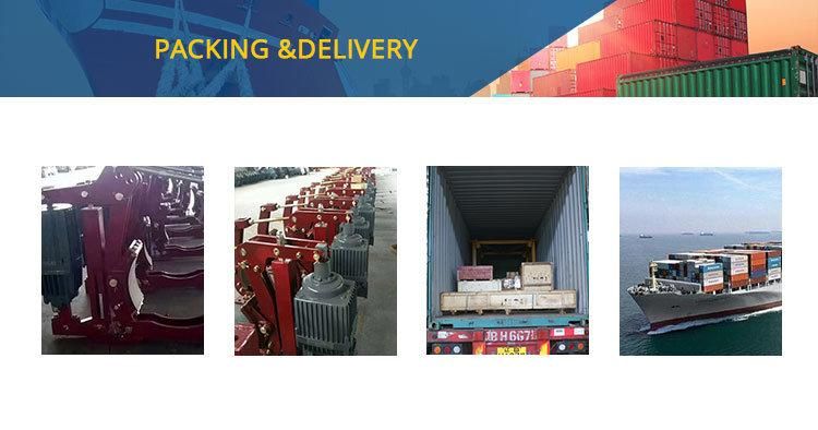 Easy Installation Electronic Hydraulic Thrusters Drum Brakes for Crane