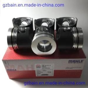 Mahle Brand Piston for S6K Construction Diesel Engine Mlwtp137/34317-07100