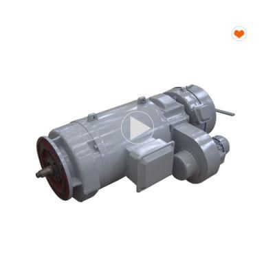 Top Quality and Multiple Models Rcs Hoist Motor for Crane