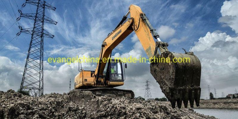 Liugong Medium-Sized Crawler Excavator 920e/Clg920e for Sale