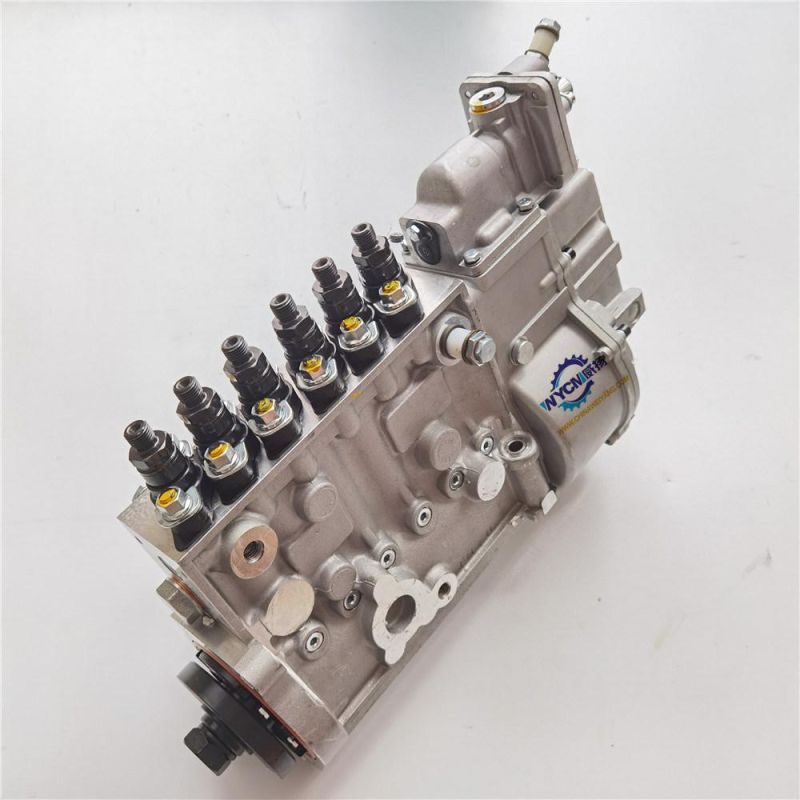 Shanghai Diesel Engine Spare Parts Cp10z-P10z022+a Fuel Injection Pump for Sale