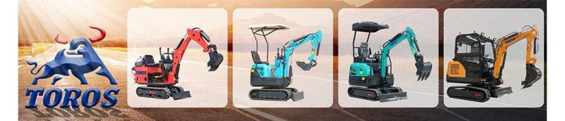 Mini Diggers Agricultural Hydraulic Excavator 1 Ton Micro Mini Excavator China Machinery Brand