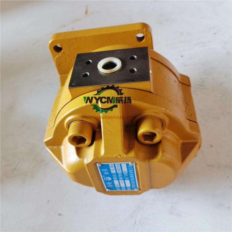 S E M 655D Wheel Loader Spare Parts W060600000 Gear Pump for Sale