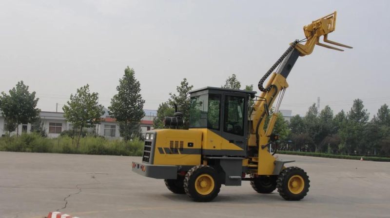 Telescopic Arm and Mini Loader