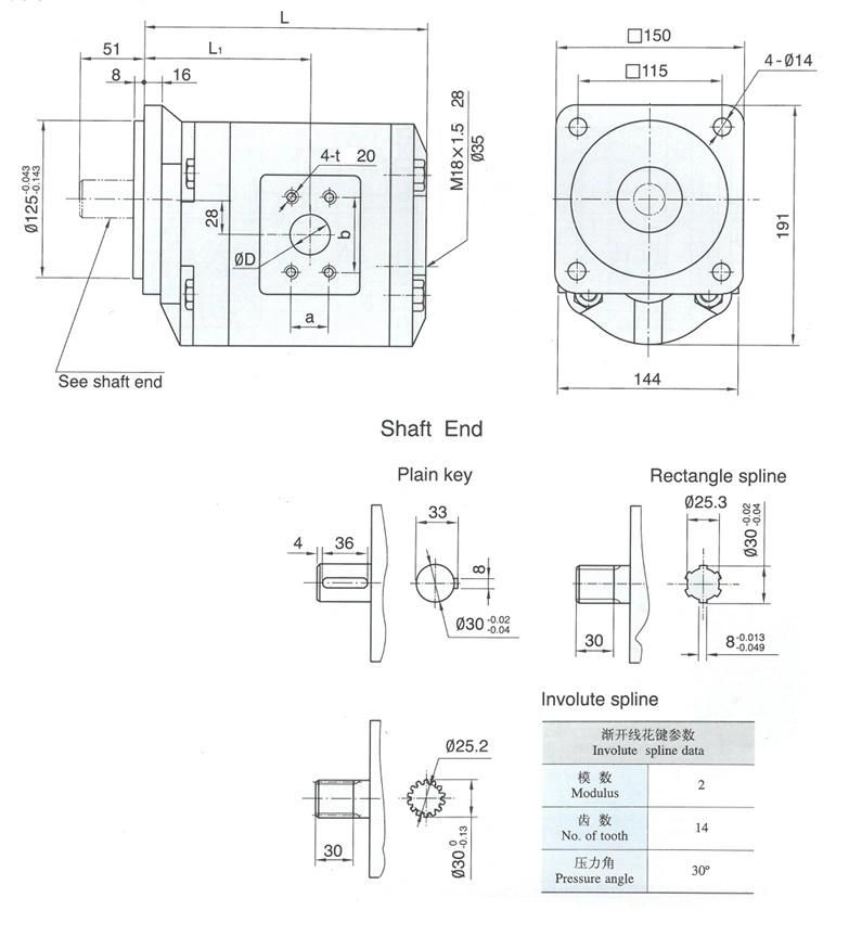 High Pressure China Hydraulic Gear Motor Cmg with Low Noise