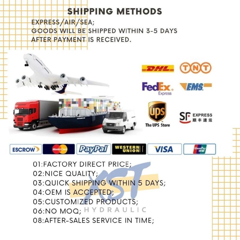 Hydraulic Piston Pump Parts Pump Repair Kits A11vo190 A11vo200 A11vo260 Parts