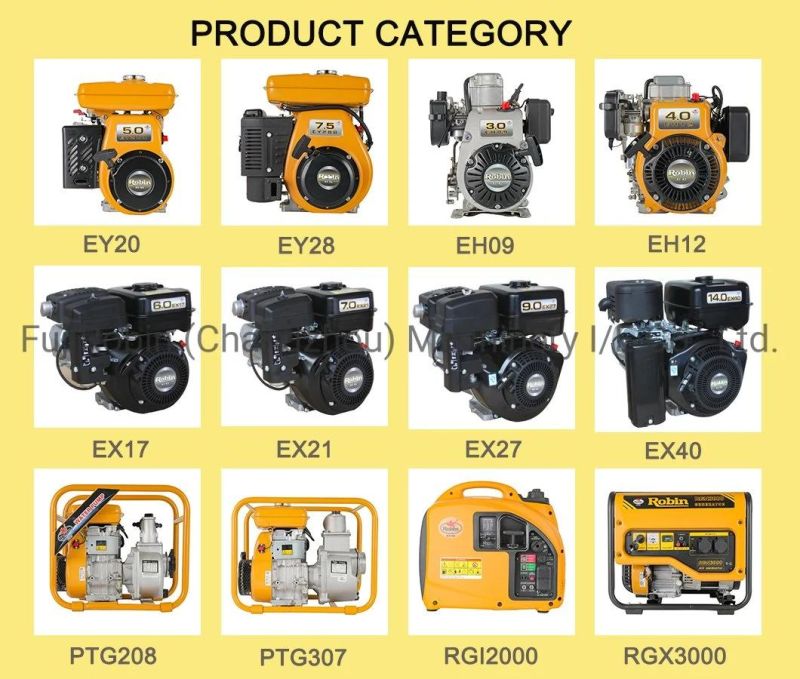 Robin New Type Robin Gasoline Generator Set Small and Light Pr3000c