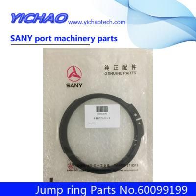 Sany Arm Cylinder Seal Original Genuine Excavator Spare Parts (SY55U/SY395H/SY395H/SY750S)