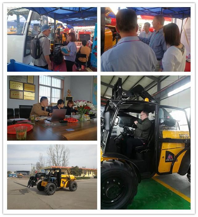 Second Hand Brands Telehandler Material Handling Machine