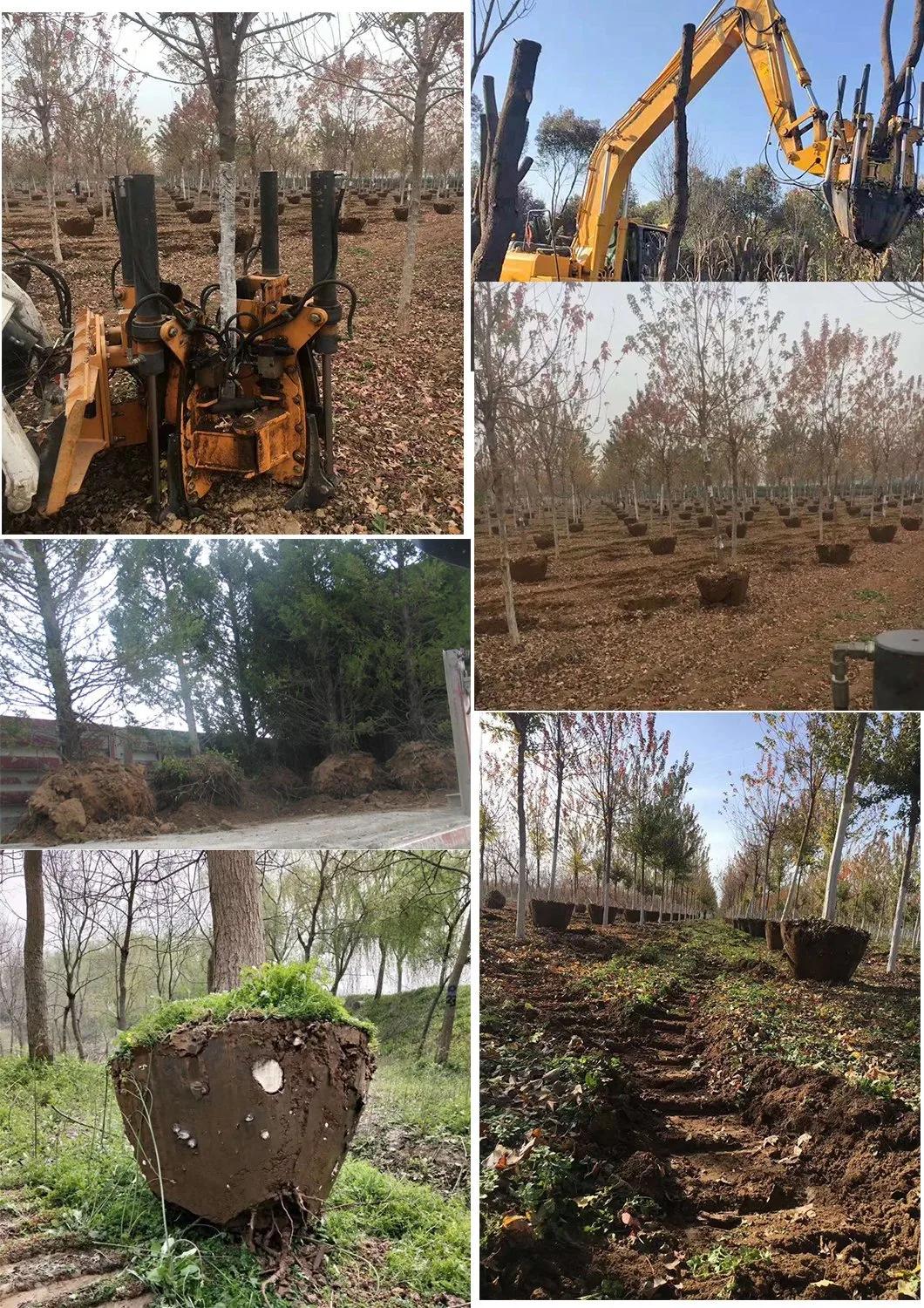 Mini Tree Spade Bucket Moving Machine Price Small Tree Transplanter for Sale