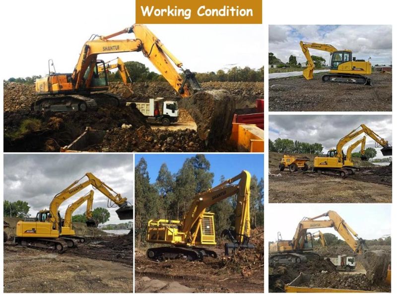 Shantui 20800kg 0.9m3 Crawler Excavator Se215 with Powerful Engine for Sale