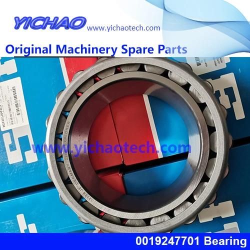 Linde Original Container Equipment Port Machinery Parts Bearing 0019247701