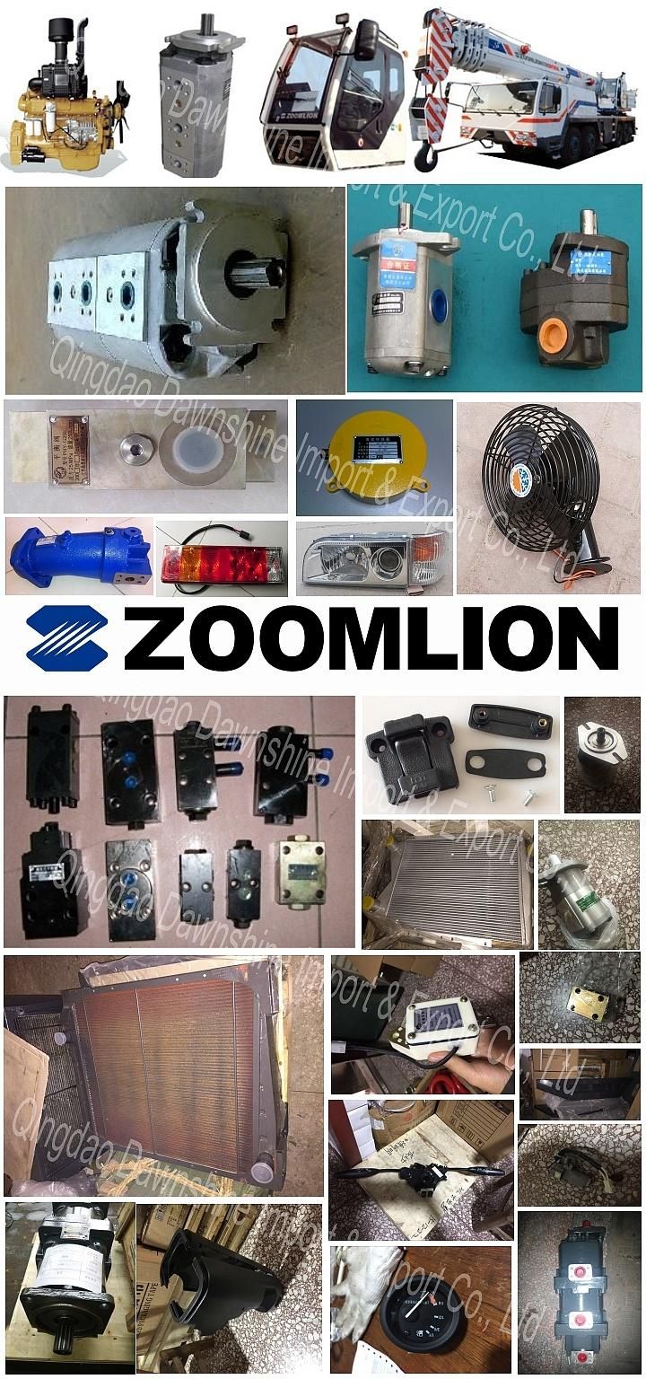 Original Zoomlion Crane Spare Parts with Best Price