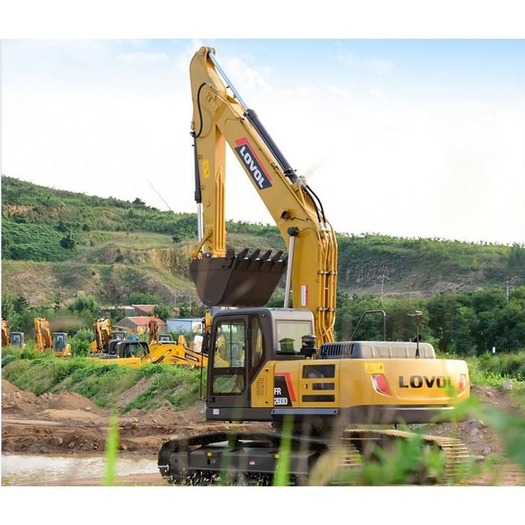Lovol 22 Ton Excavator Fr220d Mini Excavator with Free Parts