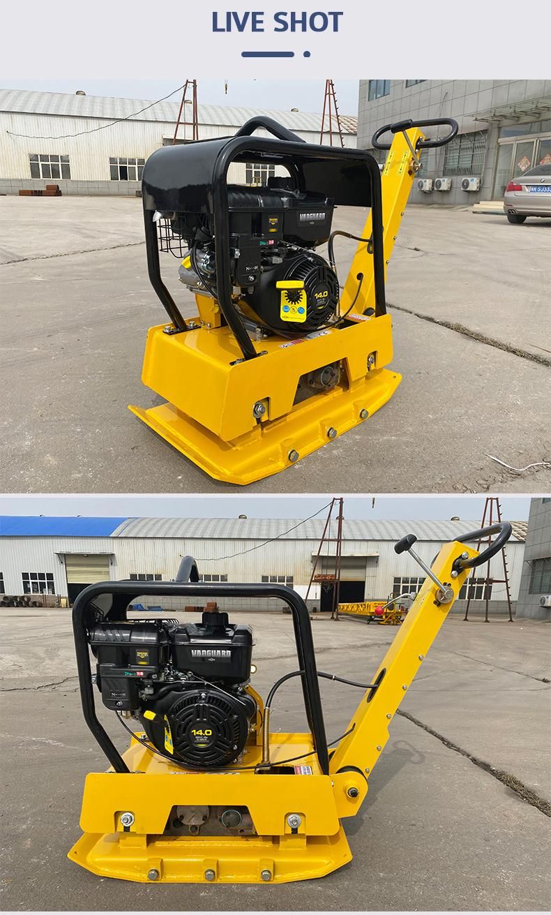Wacker Plate Compactor Reversible Gasoline Engine