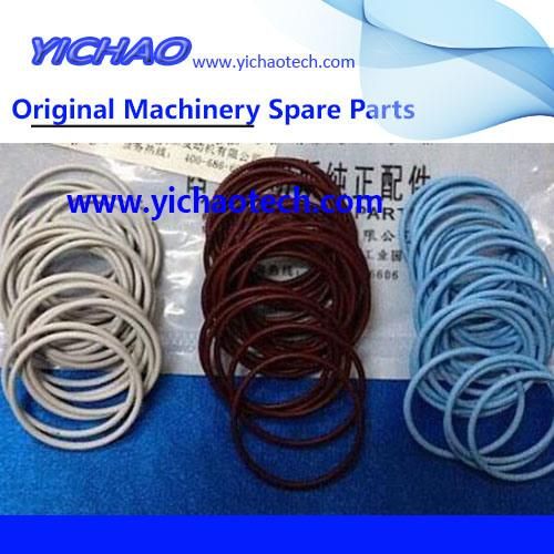 Genuine Container Equipment Port Machinery Parts O Ring 3070136 for Cummins