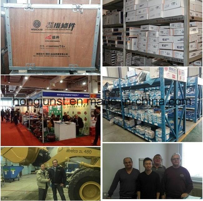 Cabin Glass for Foton Lovol Loader