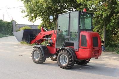 Lgcm New Condition Green Master Best Sales Loader (LGE15H)